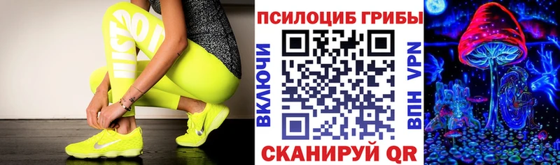 Галлюциногенные грибы Psilocybe  продажа наркотиков  Новомосковск 