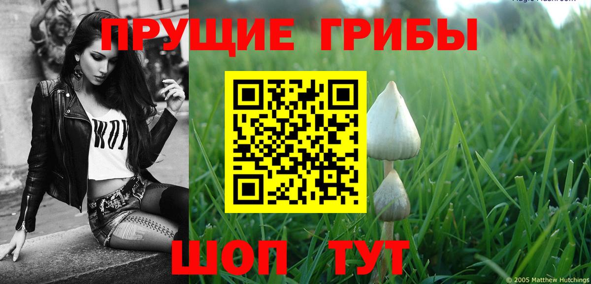 Галлюциногенные грибы мицелий Новомосковск