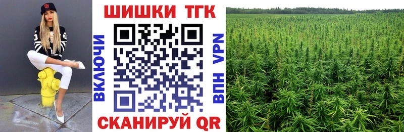 купить наркотики сайты  Новомосковск  нарко площадка как зайти  Конопля OG Kush 